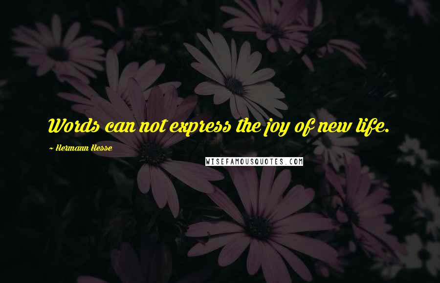 Hermann Hesse Quotes: Words can not express the joy of new life.