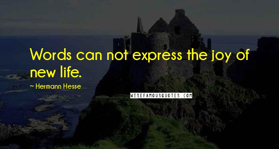 Hermann Hesse Quotes: Words can not express the joy of new life.