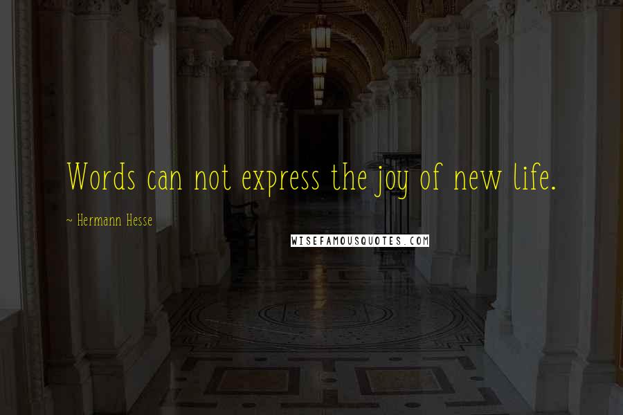 Hermann Hesse Quotes: Words can not express the joy of new life.