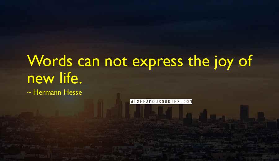 Hermann Hesse Quotes: Words can not express the joy of new life.