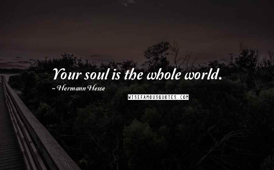 Hermann Hesse Quotes: Your soul is the whole world.