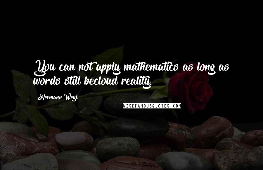 Hermann Weyl Quotes: You can not apply mathematics as long as words still becloud reality.