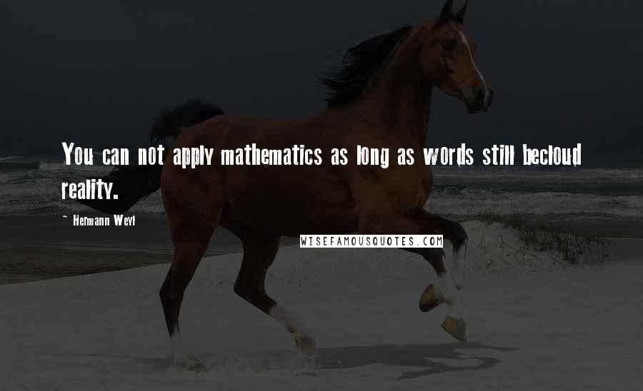 Hermann Weyl Quotes: You can not apply mathematics as long as words still becloud reality.