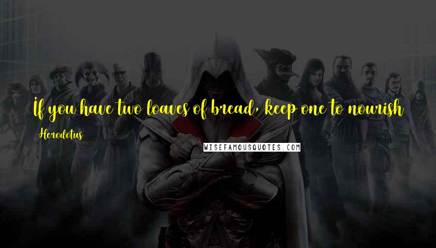 Herodotus Quotes: If you have two loaves of bread, keep one to nourish the body, but sell the other to buy hyacinths for the soul.