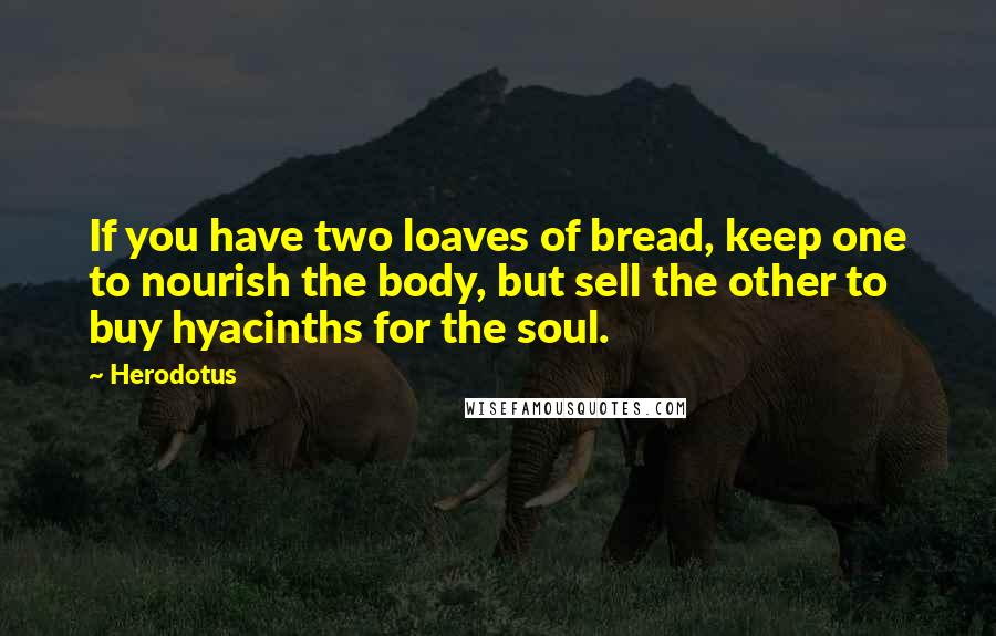 Herodotus Quotes: If you have two loaves of bread, keep one to nourish the body, but sell the other to buy hyacinths for the soul.