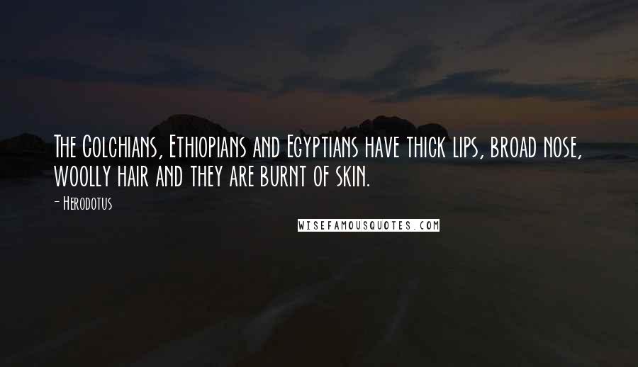 Herodotus Quotes: The Colchians, Ethiopians and Egyptians have thick lips, broad nose, woolly hair and they are burnt of skin.