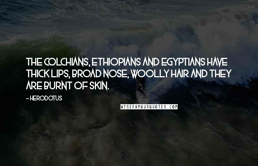 Herodotus Quotes: The Colchians, Ethiopians and Egyptians have thick lips, broad nose, woolly hair and they are burnt of skin.