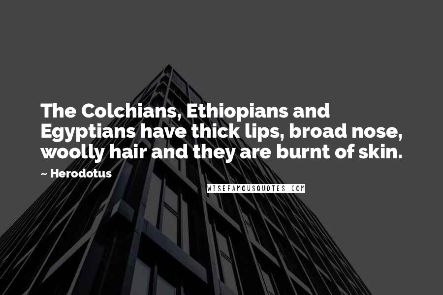 Herodotus Quotes: The Colchians, Ethiopians and Egyptians have thick lips, broad nose, woolly hair and they are burnt of skin.