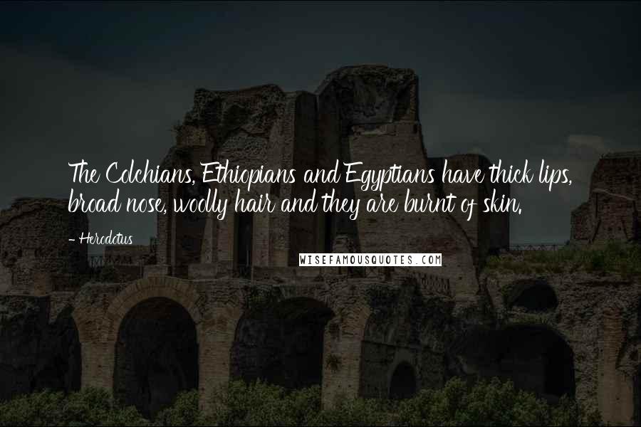 Herodotus Quotes: The Colchians, Ethiopians and Egyptians have thick lips, broad nose, woolly hair and they are burnt of skin.
