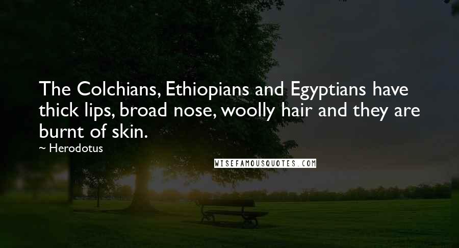 Herodotus Quotes: The Colchians, Ethiopians and Egyptians have thick lips, broad nose, woolly hair and they are burnt of skin.