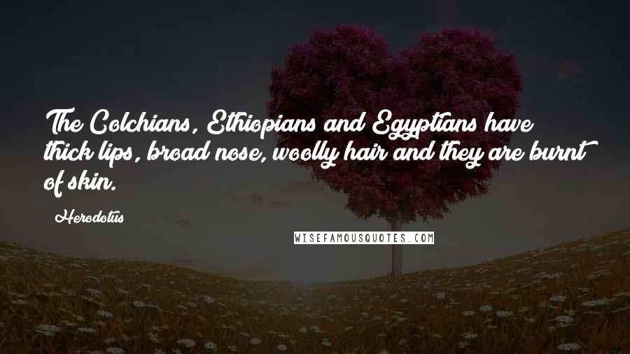 Herodotus Quotes: The Colchians, Ethiopians and Egyptians have thick lips, broad nose, woolly hair and they are burnt of skin.