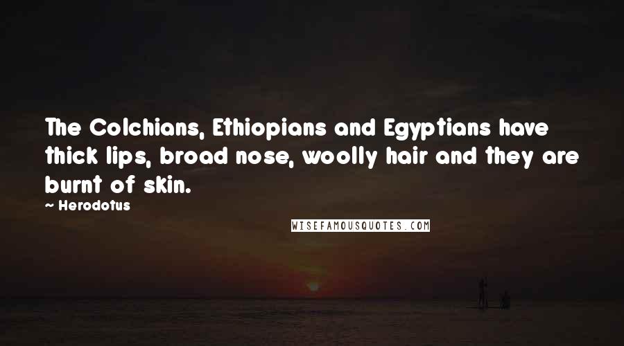 Herodotus Quotes: The Colchians, Ethiopians and Egyptians have thick lips, broad nose, woolly hair and they are burnt of skin.
