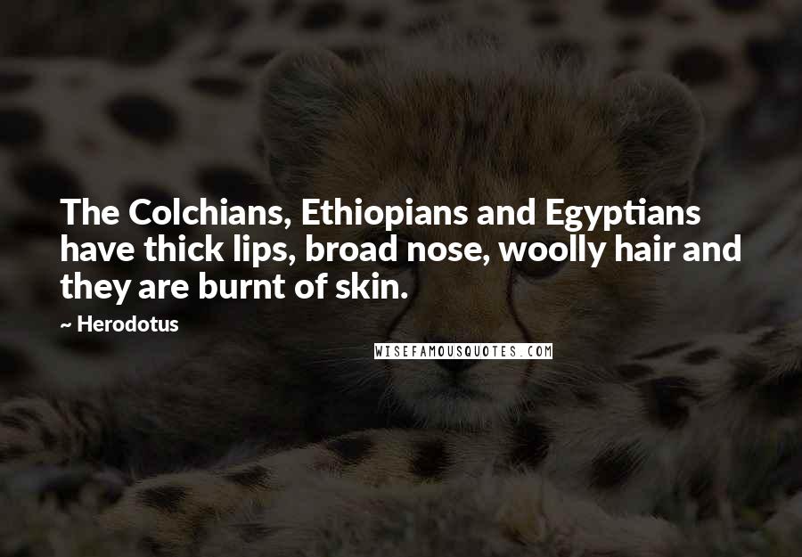 Herodotus Quotes: The Colchians, Ethiopians and Egyptians have thick lips, broad nose, woolly hair and they are burnt of skin.