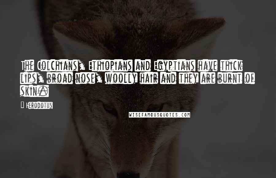 Herodotus Quotes: The Colchians, Ethiopians and Egyptians have thick lips, broad nose, woolly hair and they are burnt of skin.