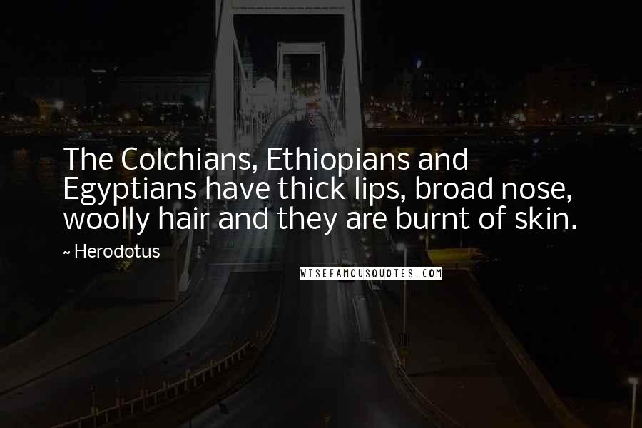 Herodotus Quotes: The Colchians, Ethiopians and Egyptians have thick lips, broad nose, woolly hair and they are burnt of skin.