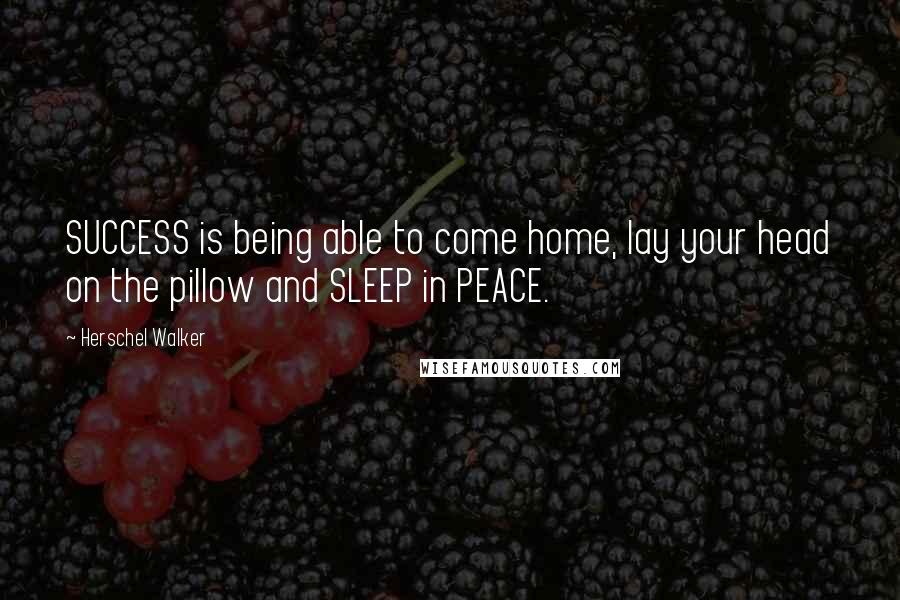 Herschel Walker Quotes: SUCCESS is being able to come home, lay your head on the pillow and SLEEP in PEACE.