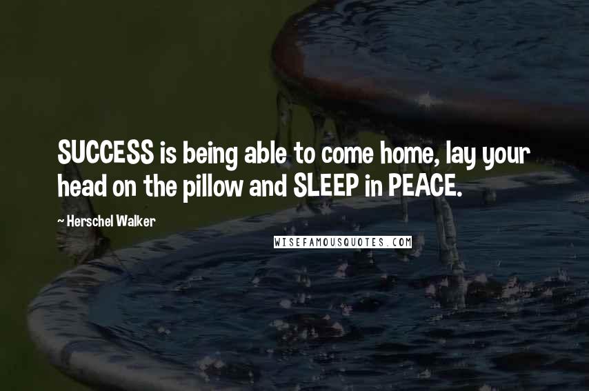 Herschel Walker Quotes: SUCCESS is being able to come home, lay your head on the pillow and SLEEP in PEACE.