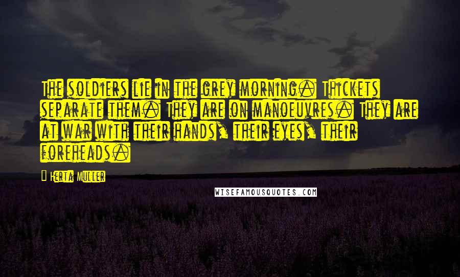 Herta Muller Quotes: The soldiers lie in the grey morning. Thickets separate them. They are on manoeuvres. They are at war with their hands, their eyes, their foreheads.