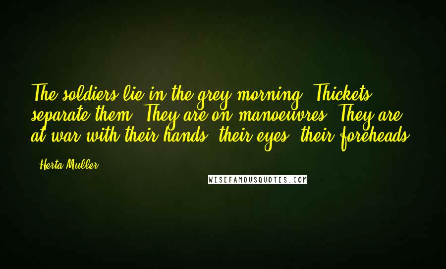 Herta Muller Quotes: The soldiers lie in the grey morning. Thickets separate them. They are on manoeuvres. They are at war with their hands, their eyes, their foreheads.