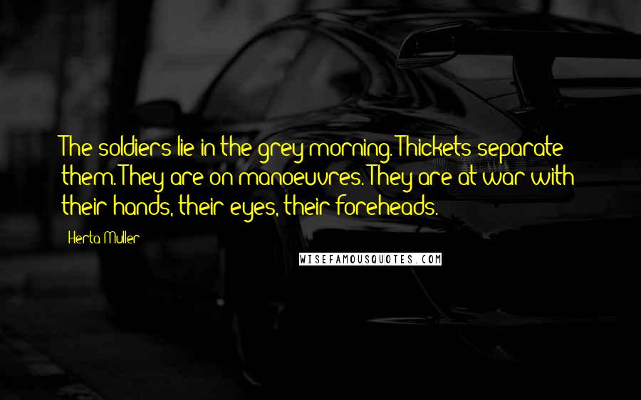 Herta Muller Quotes: The soldiers lie in the grey morning. Thickets separate them. They are on manoeuvres. They are at war with their hands, their eyes, their foreheads.