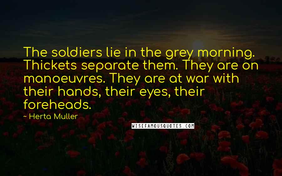 Herta Muller Quotes: The soldiers lie in the grey morning. Thickets separate them. They are on manoeuvres. They are at war with their hands, their eyes, their foreheads.