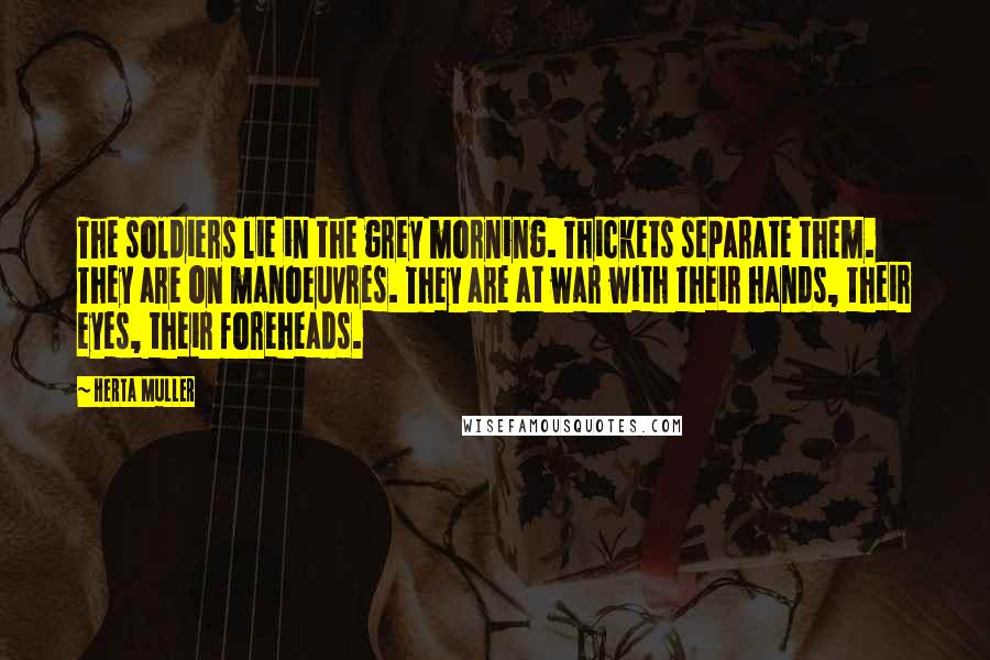 Herta Muller Quotes: The soldiers lie in the grey morning. Thickets separate them. They are on manoeuvres. They are at war with their hands, their eyes, their foreheads.