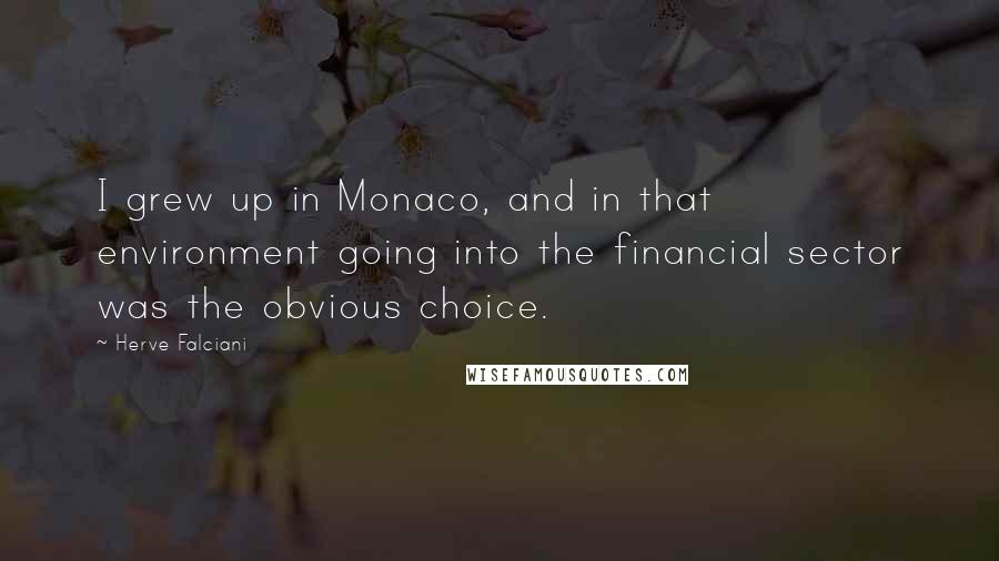 Herve Falciani Quotes: I grew up in Monaco, and in that environment going into the financial sector was the obvious choice.