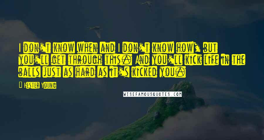 Hester Young Quotes: I don't know when and I don't know how, but you'll get through this. And you'll kick life in the balls just as hard as it's kicked you.