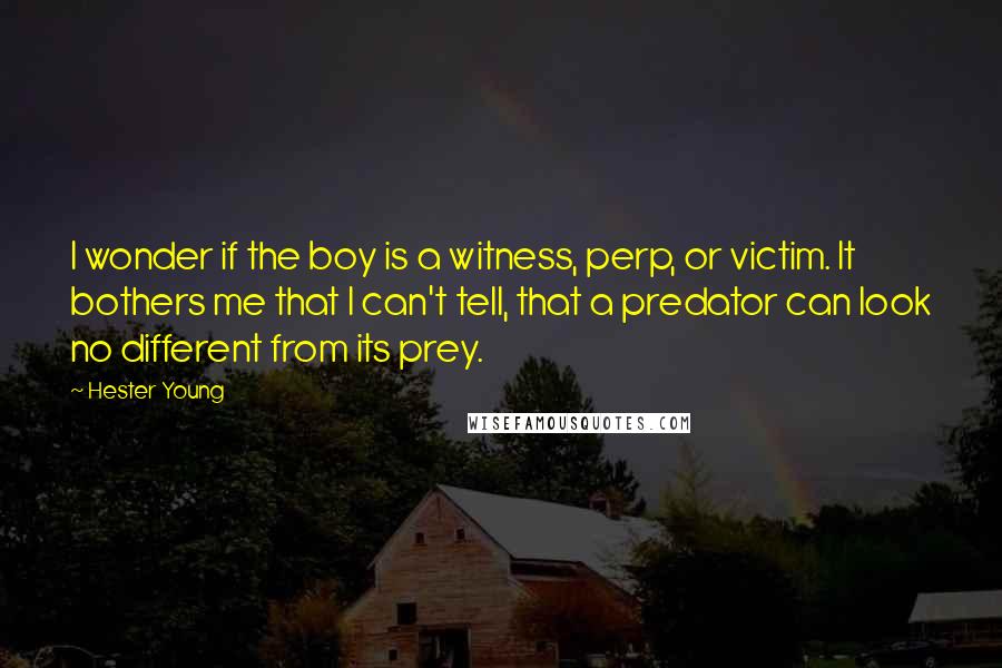 Hester Young Quotes: I wonder if the boy is a witness, perp, or victim. It bothers me that I can't tell, that a predator can look no different from its prey.