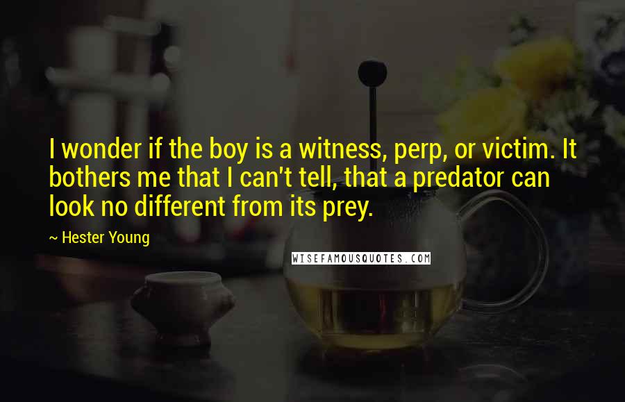 Hester Young Quotes: I wonder if the boy is a witness, perp, or victim. It bothers me that I can't tell, that a predator can look no different from its prey.