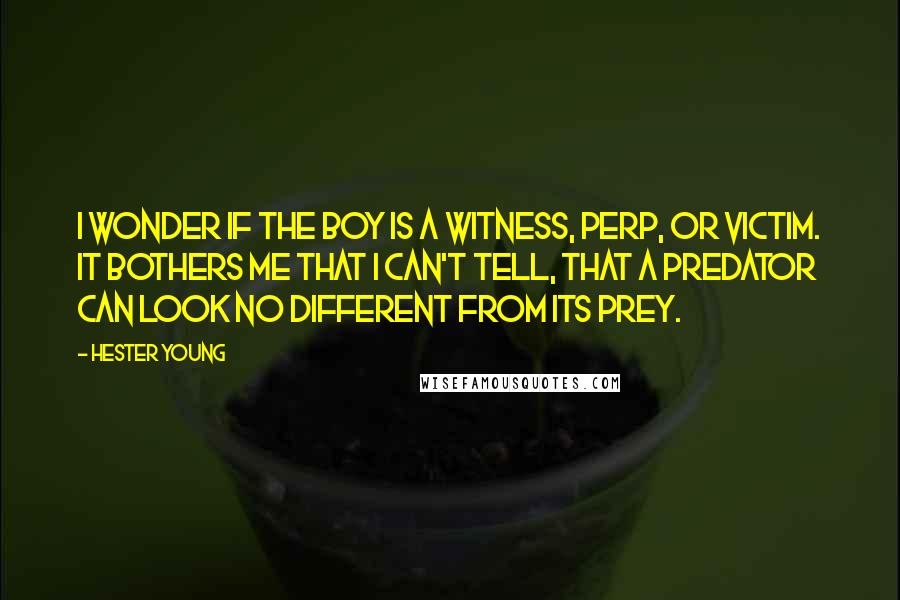 Hester Young Quotes: I wonder if the boy is a witness, perp, or victim. It bothers me that I can't tell, that a predator can look no different from its prey.