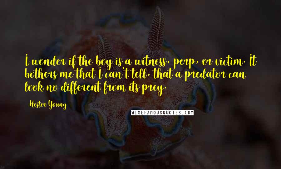 Hester Young Quotes: I wonder if the boy is a witness, perp, or victim. It bothers me that I can't tell, that a predator can look no different from its prey.