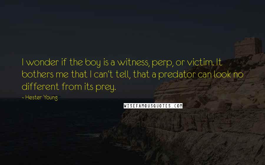 Hester Young Quotes: I wonder if the boy is a witness, perp, or victim. It bothers me that I can't tell, that a predator can look no different from its prey.