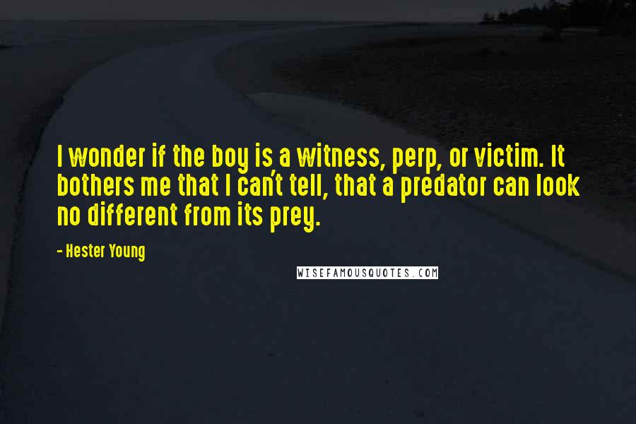 Hester Young Quotes: I wonder if the boy is a witness, perp, or victim. It bothers me that I can't tell, that a predator can look no different from its prey.