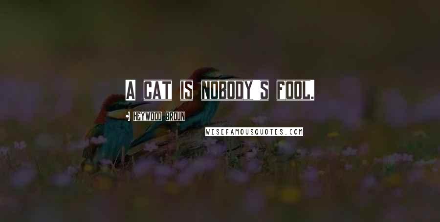 Heywood Broun Quotes: A cat is nobody's fool.