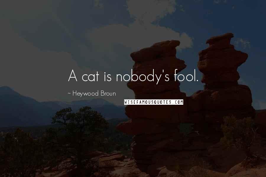 Heywood Broun Quotes: A cat is nobody's fool.