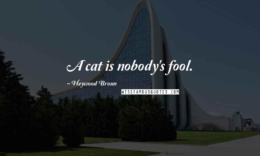 Heywood Broun Quotes: A cat is nobody's fool.