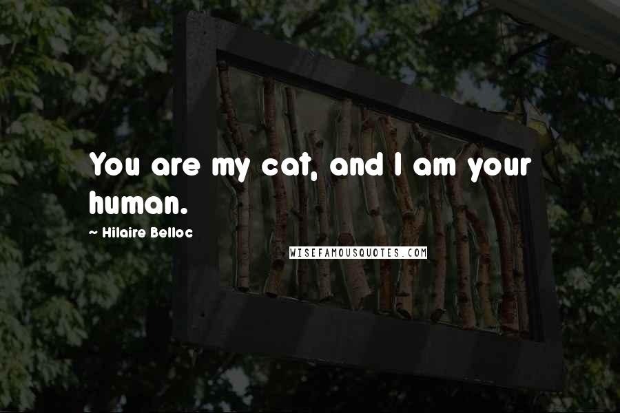 Hilaire Belloc Quotes: You are my cat, and I am your human.