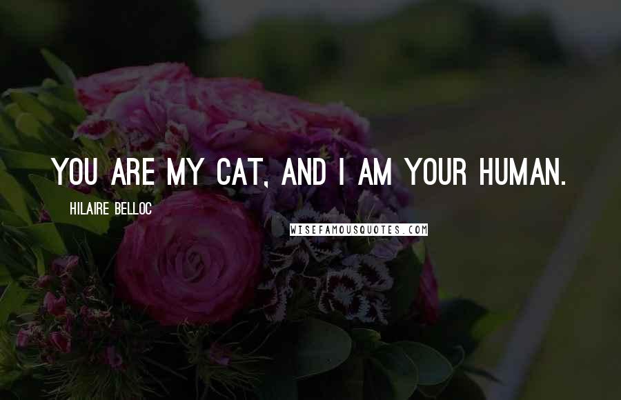 Hilaire Belloc Quotes: You are my cat, and I am your human.