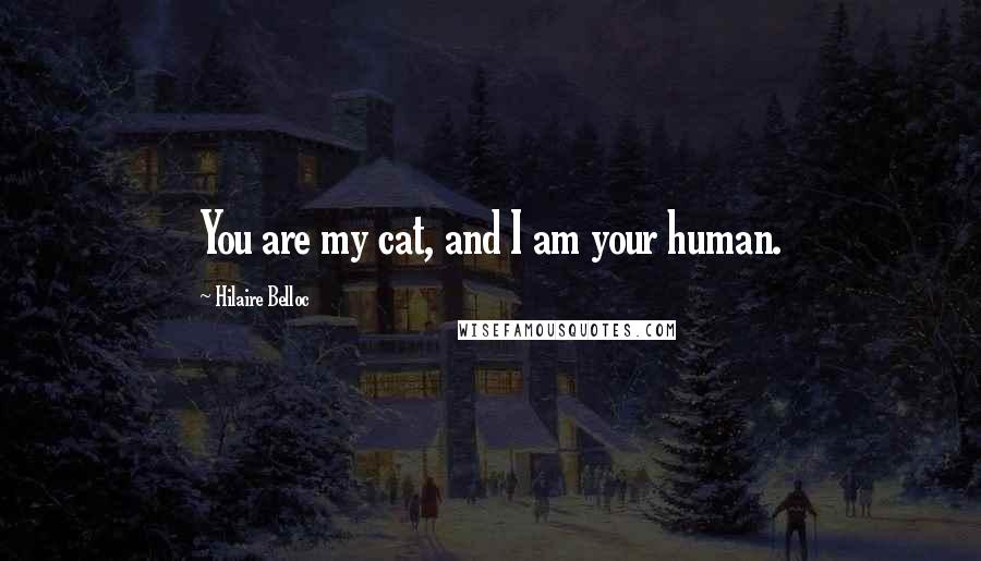 Hilaire Belloc Quotes: You are my cat, and I am your human.