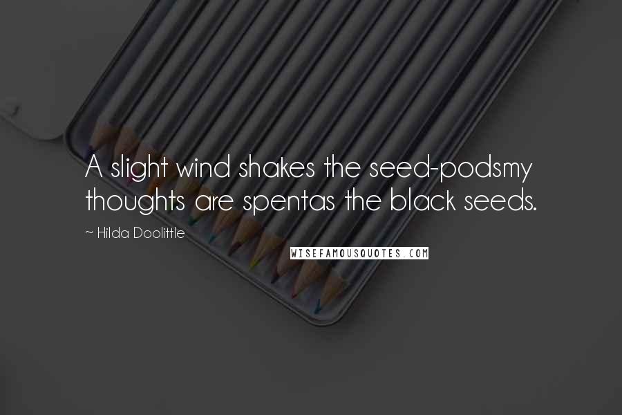 Hilda Doolittle Quotes: A slight wind shakes the seed-podsmy thoughts are spentas the black seeds.