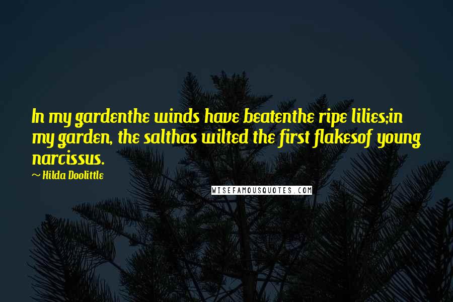 Hilda Doolittle Quotes: In my gardenthe winds have beatenthe ripe lilies;in my garden, the salthas wilted the first flakesof young narcissus.