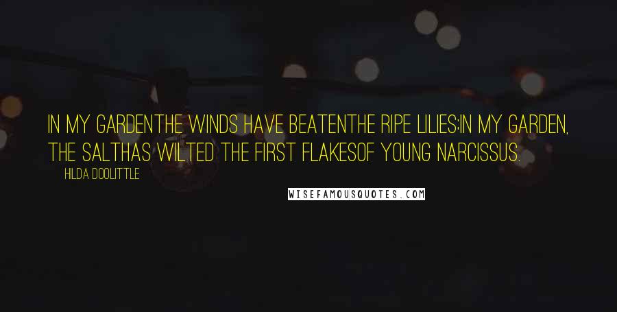 Hilda Doolittle Quotes: In my gardenthe winds have beatenthe ripe lilies;in my garden, the salthas wilted the first flakesof young narcissus.
