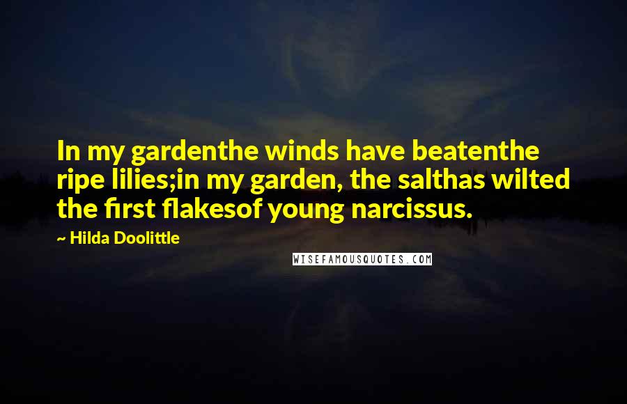 Hilda Doolittle Quotes: In my gardenthe winds have beatenthe ripe lilies;in my garden, the salthas wilted the first flakesof young narcissus.