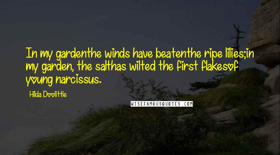 Hilda Doolittle Quotes: In my gardenthe winds have beatenthe ripe lilies;in my garden, the salthas wilted the first flakesof young narcissus.