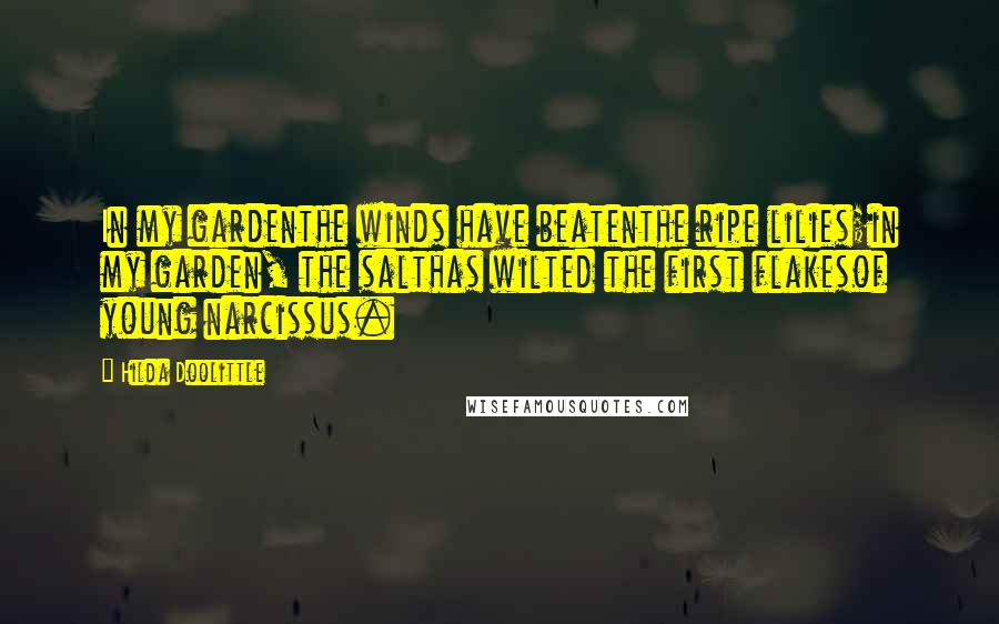 Hilda Doolittle Quotes: In my gardenthe winds have beatenthe ripe lilies;in my garden, the salthas wilted the first flakesof young narcissus.