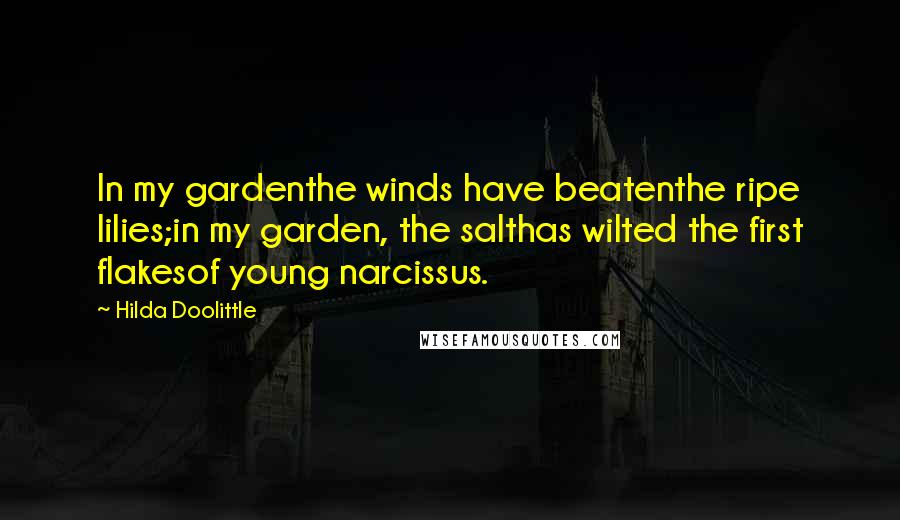 Hilda Doolittle Quotes: In my gardenthe winds have beatenthe ripe lilies;in my garden, the salthas wilted the first flakesof young narcissus.