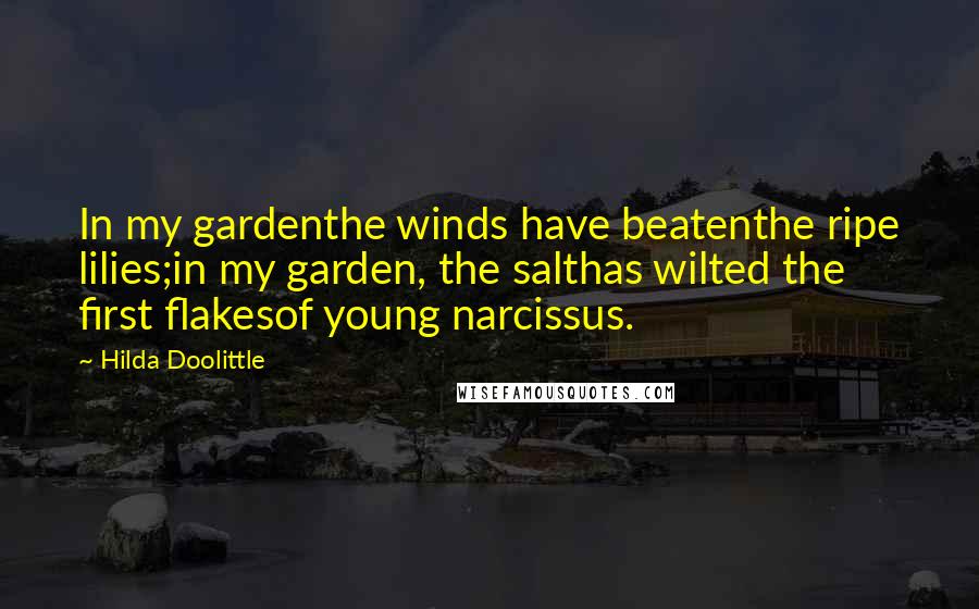 Hilda Doolittle Quotes: In my gardenthe winds have beatenthe ripe lilies;in my garden, the salthas wilted the first flakesof young narcissus.