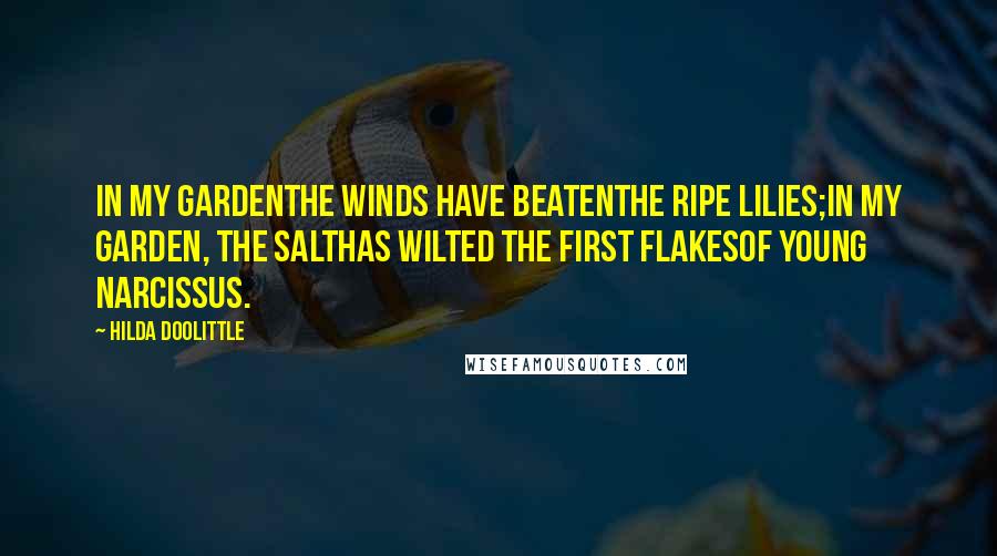 Hilda Doolittle Quotes: In my gardenthe winds have beatenthe ripe lilies;in my garden, the salthas wilted the first flakesof young narcissus.