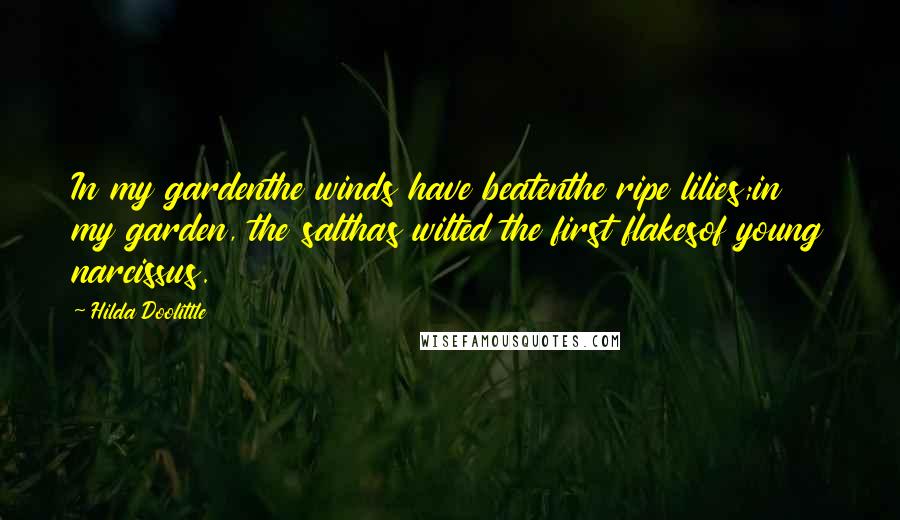 Hilda Doolittle Quotes: In my gardenthe winds have beatenthe ripe lilies;in my garden, the salthas wilted the first flakesof young narcissus.